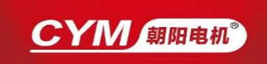 安徽朝陽電機有限公司